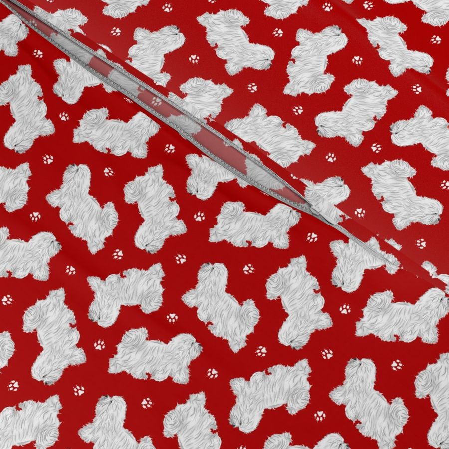 Tiny Trotting Coton de Tulear and paw prints - red