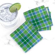 Green Blue Black and White Plaid 