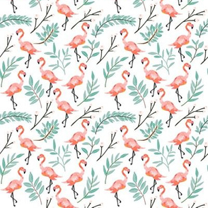 Small Coral Flamingos in Shade