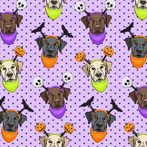 Halloween Labs - Labrador Retriever - Purple with polka dots - LAD19