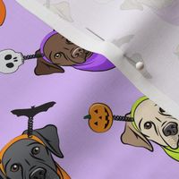 Halloween Labs - Labrador Retriever - Purple - LAD19