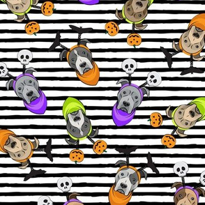 Halloween Pitties - Pit Bull Terrier - black stripes - LAD19