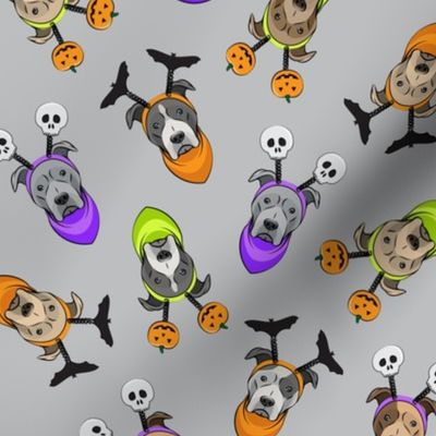 Halloween Pitties - Pit Bull Terrier - grey - LAD19