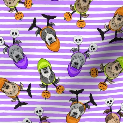 Halloween Pitties - Pit Bull Terrier - purple stripes  - LAD19