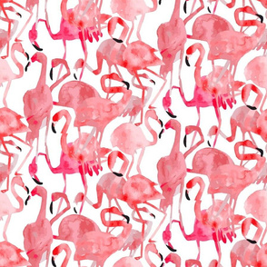 Flamingo Flamboyance