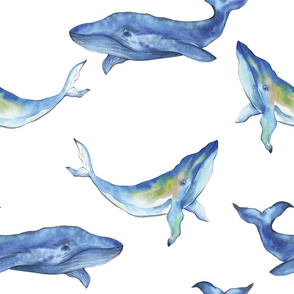 watercolor whales