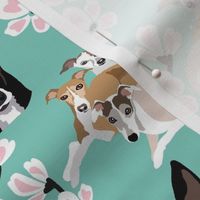 small print // 4 Rescue Greyhound Dogs  and Pink Cherry Blossoms on Teal background dog fabric