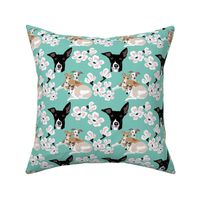 small print // 4 Rescue Greyhound Dogs  and Pink Cherry Blossoms on Teal background dog fabric