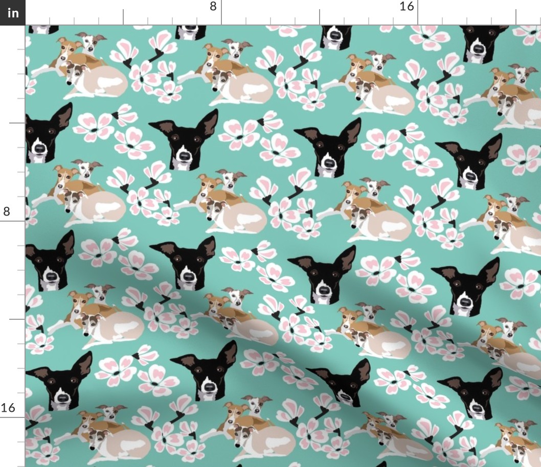 small print // 4 Rescue Greyhound Dogs  and Pink Cherry Blossoms on Teal background dog fabric