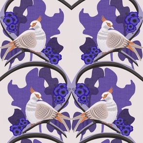 Australian  crested pigeons - purple
