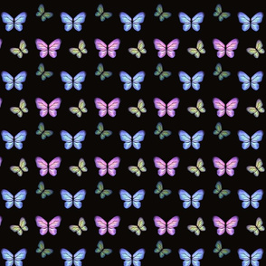 butterfly black