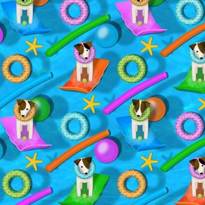 Parson / Jack Russell pool party - small