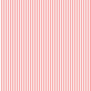 Pink & White Stripe 