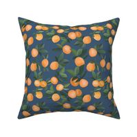 oranges scattered on dark blue