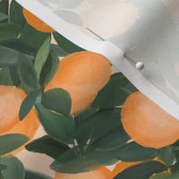 orange grove on peachy cream