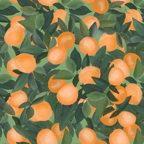 orange grove on light green