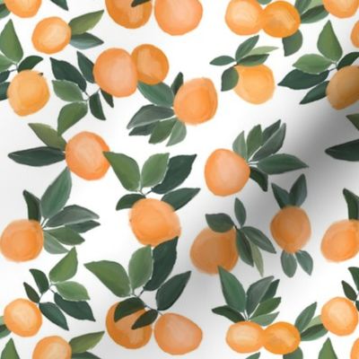 oranges scattered on white