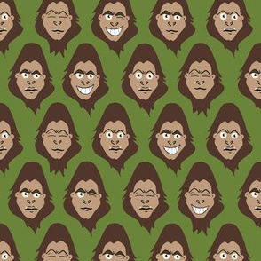 Bigfoot Heads - Sasquatch Expressions