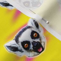 Lemur Fever