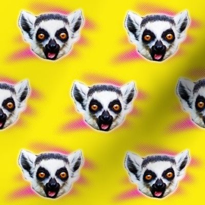 Lemur Fever