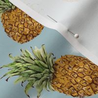 Pineapple party 53C7AEB0-27B8-4BE2-9C6C-B457C1B325B7