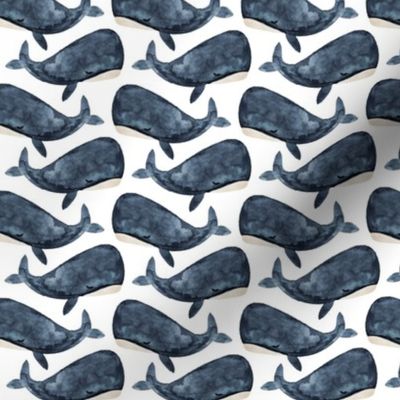 jonah's whale // navy // small