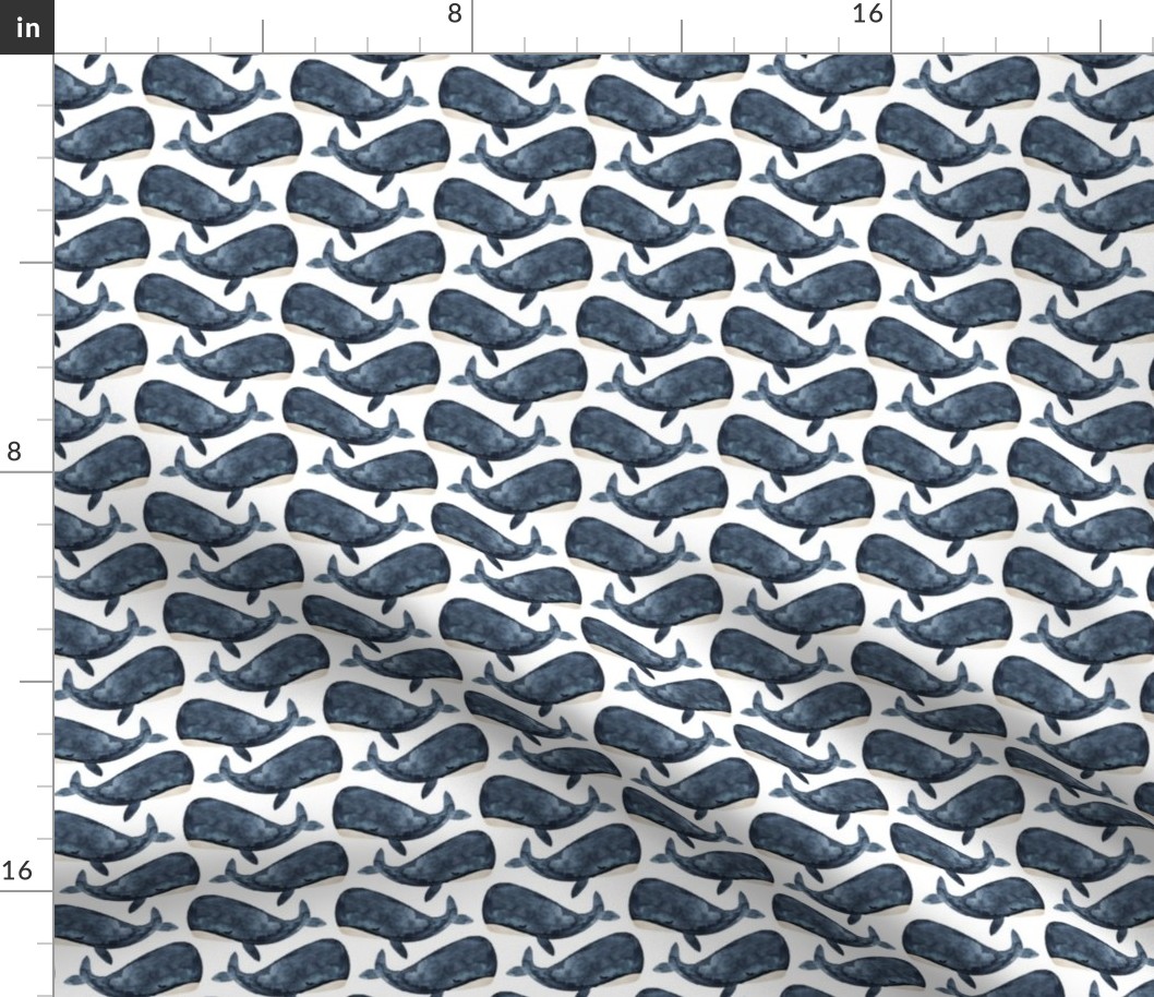 jonah's whale // navy // small
