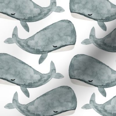 jonah's whale // silver