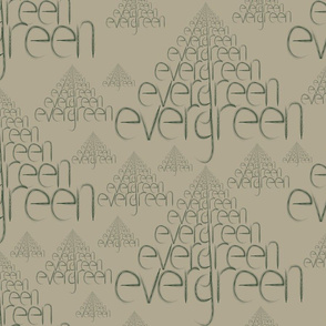 901155-evergreen-by-brandymiller