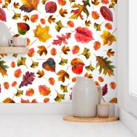 Watercolor hand drawn  autumn leaves   pattern design