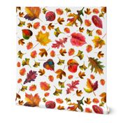 Watercolor hand drawn  autumn leaves   pattern design