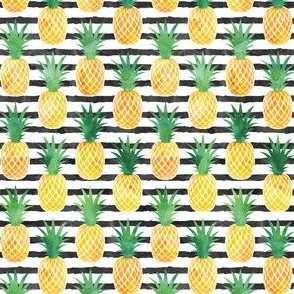 (small scale) pineapples - watercolor on black stripes C19BS