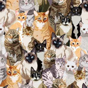 crowd of cats