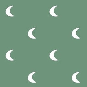  Medium Scale Plain Cactus green Moons