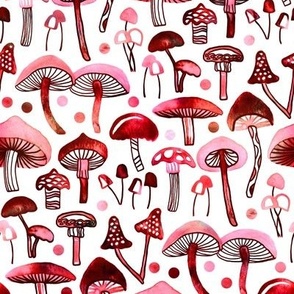 Blush Mushrooms (Large Version) 