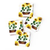 Watercolor hand drawn  sunflowers garden  pattern design