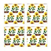 Watercolor hand drawn  sunflowers garden  pattern design