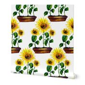 Watercolor hand drawn  sunflowers garden  pattern design