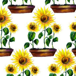 Watercolor hand drawn  sunflowers garden  pattern design