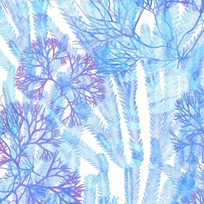 Seaweeds Blue on White 150