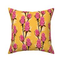 Pink Banksia_Yellow_2000px