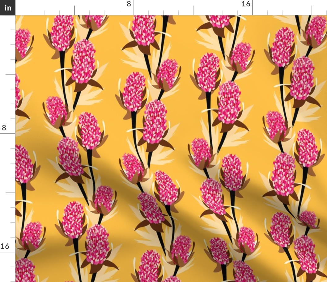 Pink Banksia_Yellow_2000px