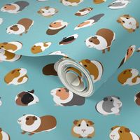 Guinea Pigs on Turquoise - large scale