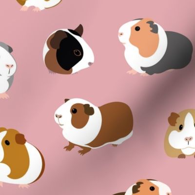 Guinea Pigs on Pink - large scale