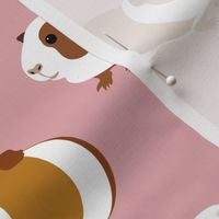 Guinea Pigs on Pink - large scale