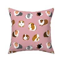 Guinea Pigs on Pink - large scale