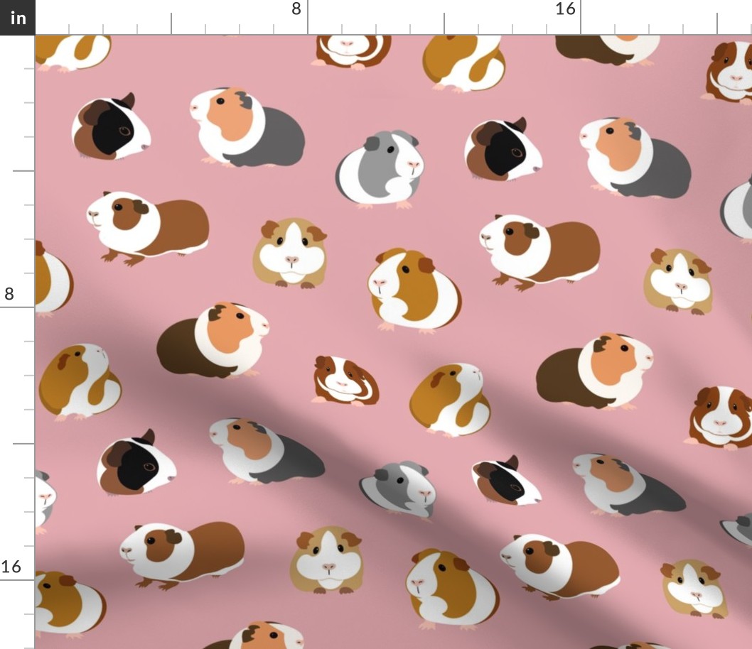 Guinea Pigs on Pink - large scale