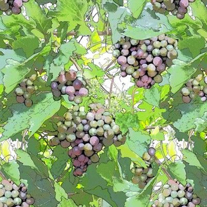 Fruit of the Vine