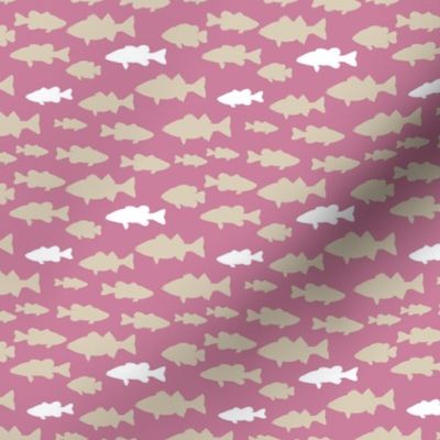 (small scale) fish || pink custom  C19BS