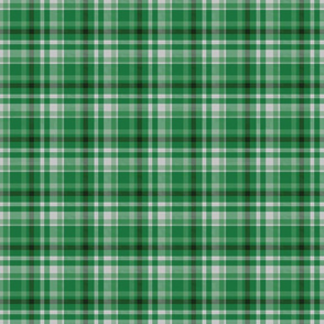 Kelly Dark and Fern Green, Tartan